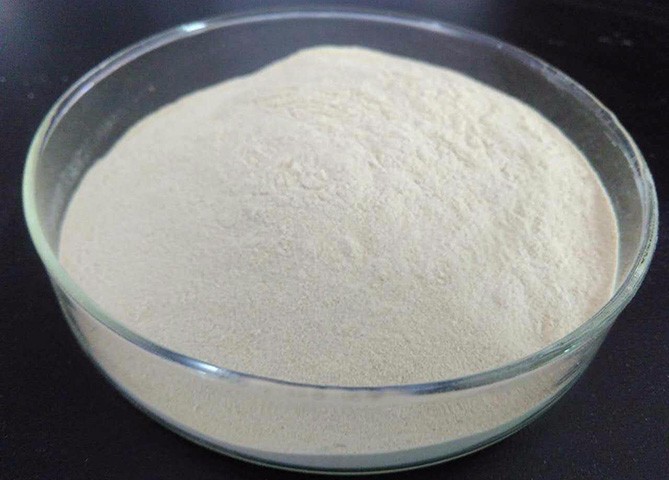 血漿蛋白干燥技術(shù)解決方案
